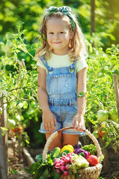 Çocuk ve sebze. Seçici odaklanma. Doğru yiyecekle doğadaki küçük kız. — Stok fotoğraf