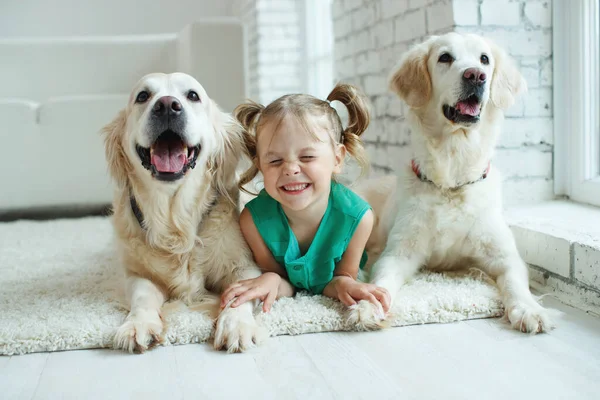 Köpeği olan mutlu bir çocuk. Evcil hayvanlı bir kızın portresi. Labrador Retriever evde. 