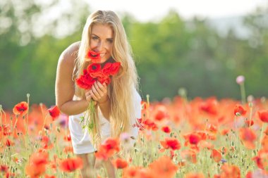 Elinde çiçekle harika bir haşhaş tarlasında yürüyen romantik bir kadın. Günbatımının ılık renkleri. Yumuşak renkler.