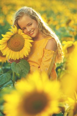Ayçiçekli güzel kız doğanın tadını çıkarıyor ve yaz ayçiçeği tarlasında gülüyor. Güneş parlıyor, güneş ışıldıyor, güneş parlıyor..