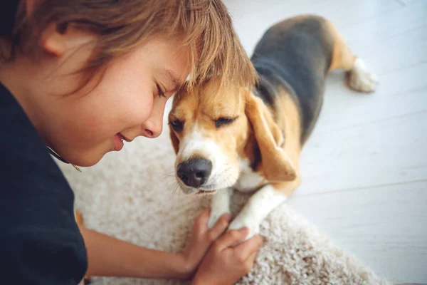 Happy boy and dog Beagle hugs her with tenderness, smiles, looks at the camera at home. Pets. Emotions of people. Childhood. Life style. Animal care.