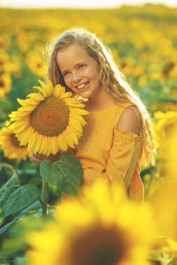 Ayçiçekli güzel kız doğanın tadını çıkarıyor ve yaz ayçiçeği tarlasında gülüyor. Güneş parlıyor, güneş ışıldıyor, güneş parlıyor..