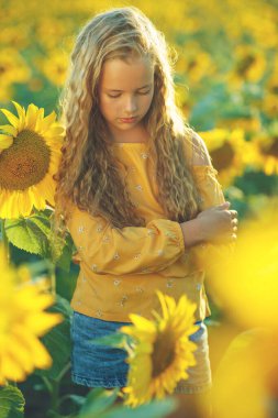 Ayçiçekli güzel kız doğanın tadını çıkarıyor ve yaz ayçiçeği tarlasında gülüyor. Güneş parlıyor, güneş ışıldıyor, güneş parlıyor..
