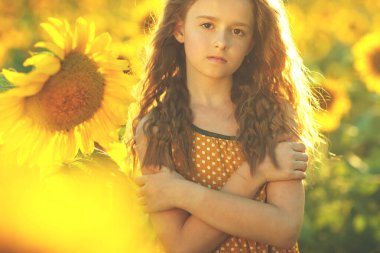 Ayçiçekli güzel kız doğanın tadını çıkarıyor ve yaz ayçiçeği tarlasında gülüyor. Güneş parlıyor, güneş ışıldıyor, güneş parlıyor..