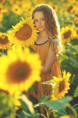 Ayçiçekli güzel kız doğanın tadını çıkarıyor ve yaz ayçiçeği tarlasında gülüyor. Güneş parlıyor, güneş ışıldıyor, güneş parlıyor..