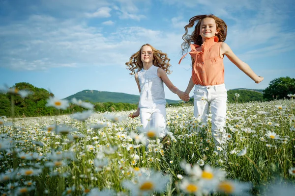 カモミール畑の可愛い娘。花のある畑で遊ぶ子供たちのグループ. — ストック写真