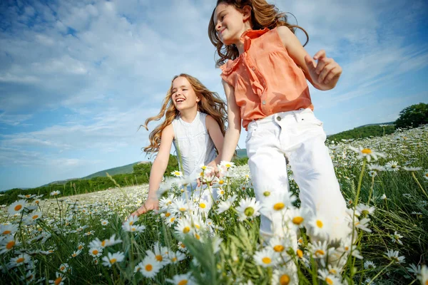 カモミール畑の可愛い娘。花のある畑で遊ぶ子供たちのグループ. — ストック写真