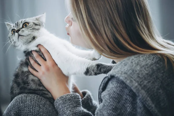 Молодая красивая женщина с котом. Агрессивный серый кот. Красивая милая кошка играет с женской рукой и кусает с забавными эмоциями. — стоковое фото