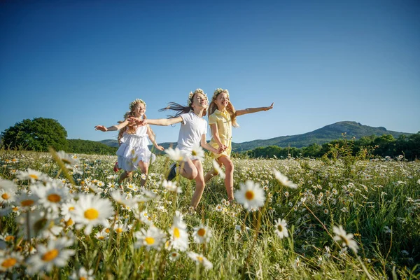 Children in nature. The girls play fun. Royalty Free Stock Photos