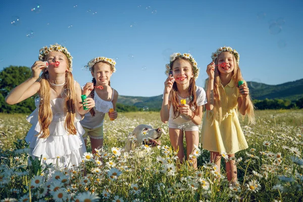 Barn i naturen. Flickorna leker kul. — Stockfoto