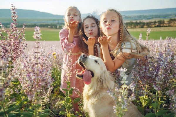 Doğada köpeği olan bir grup çocuk. Kızlar açık havada oynar.