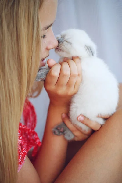 Κορίτσι με γατάκι. Ένα μικρό γατάκι στα χέρια ενός παιδιού. — Φωτογραφία Αρχείου