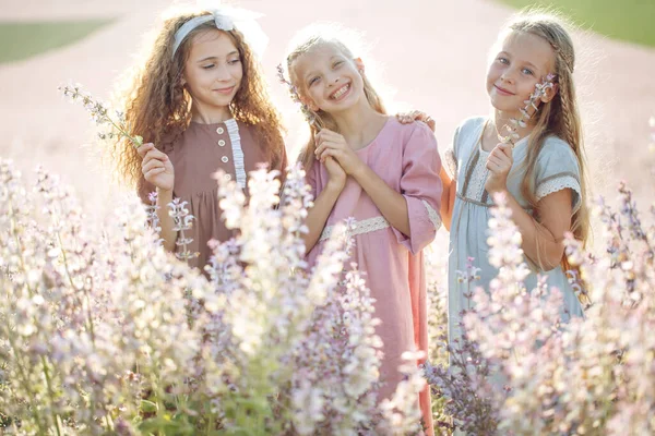 女の子のガールフレンドで花のある分野で — ストック写真