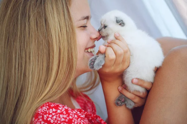 Una chica con un gatito. Un gatito pequeño en las manos de un niño. — Foto de Stock