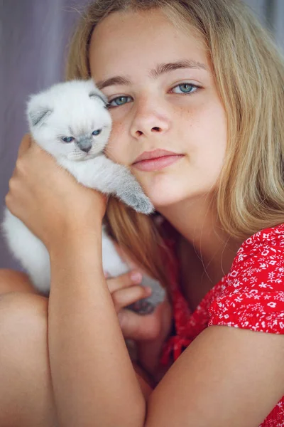 Holka s koťátkem. Malé koťátko v rukou dítěte. — Stock fotografie