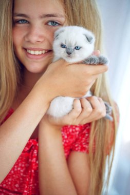 Kedisi olan bir kız. Bir çocuğun ellerinde küçük bir kedi yavrusu..