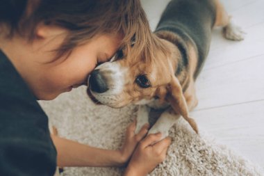Child boy with dog at home.