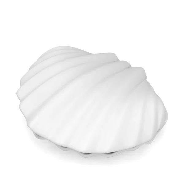 Sea shell — Stock fotografie