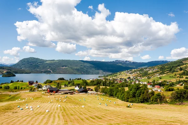 Pejzaż Norwegii. — Zdjęcie stockowe