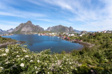 Lofoten adalarında göster.