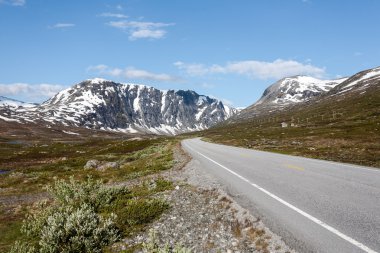 Norveç peyzaj.