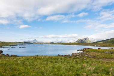 Lofoten peyzaj.