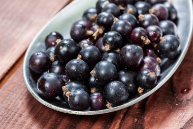taze Siyah frenk üzümü