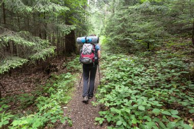 uzun yürüyüşe çıkan kimse kız