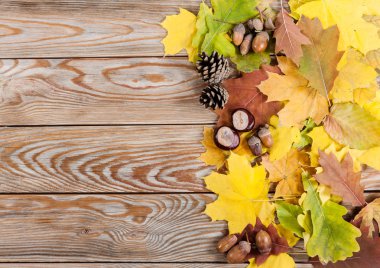 Doğal sonbahar çerçeve.