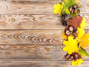 Doğal sonbahar çerçeve.