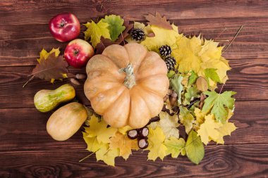 Kabaklarla sonbahar arkaplanı