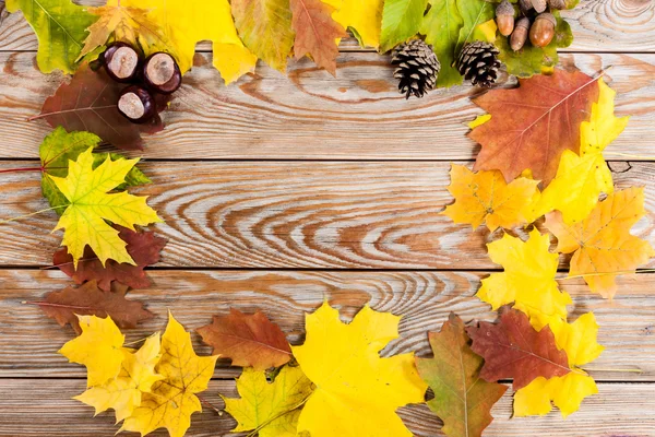 Natural autumn frame. — Stock Photo, Image