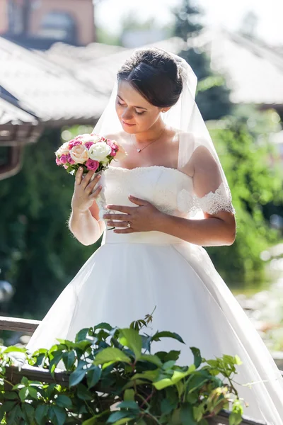 Pengantin muda yang cantik — Stok Foto