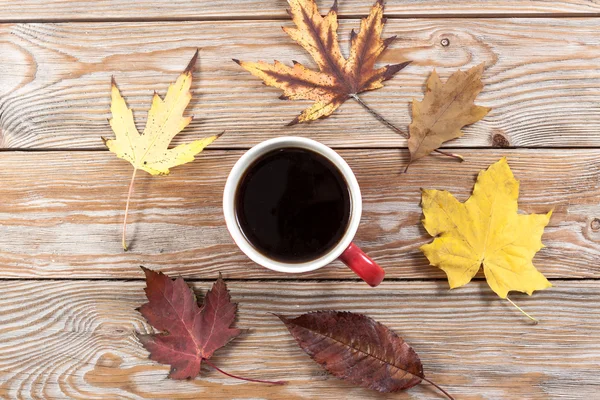 Coffee cup with autumn leafs. — Stock Photo, Image