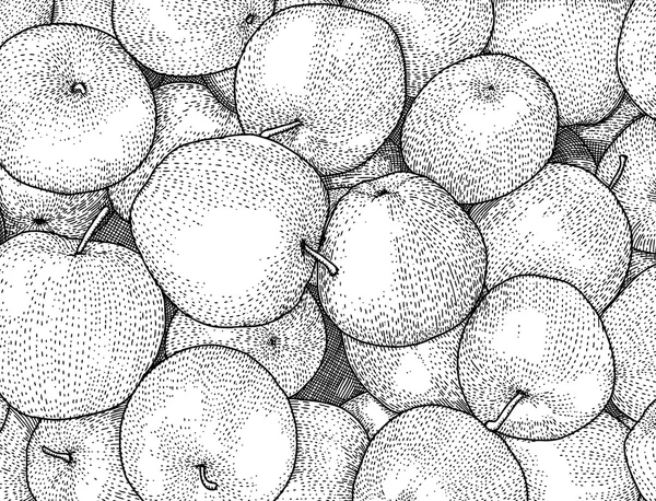 Äpplen, hand dras — Stock vektor