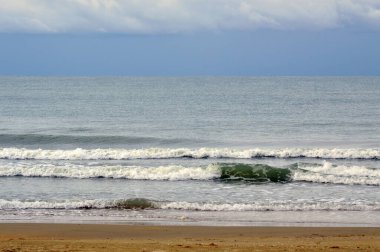 Sahilde bir deniz dalgası