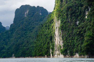 Göldeki kayalık bir tepede ağaçlar
