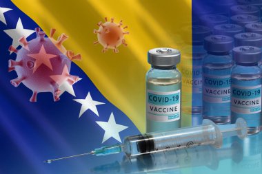 Bosna-Hersek 'te aşı kampanyası. Dünyada koronavirüsle mücadele