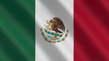 Rüzgarda dalgalanan Meksika bayrağının animasyonu. Meksika bayrağıyla donatılmış bir geçmiş. Meksika bayrak döngüsü videosu