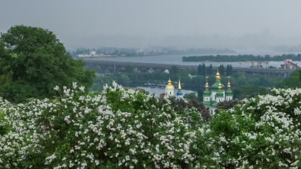 Botanische tuin in Kiev — Stockvideo