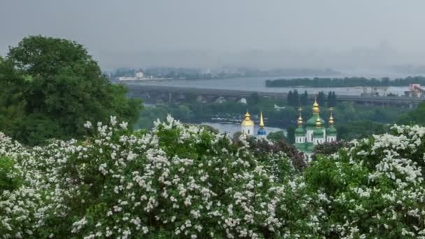 Ogród botaniczny w Kijowie — Wideo stockowe