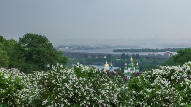 Jardin botanique à Kiev — Video