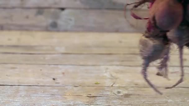 Beetroots demet — Stok video