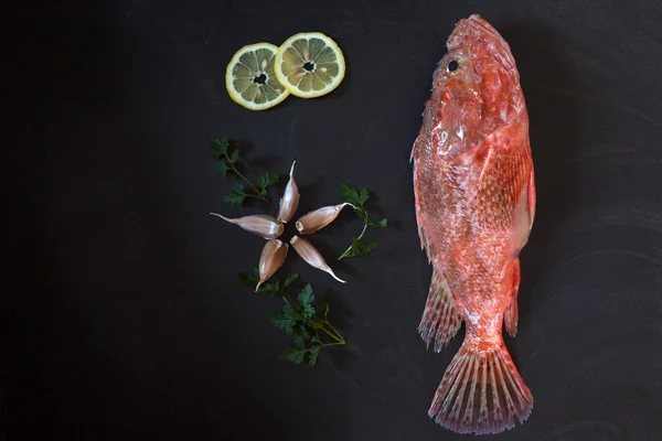 Red Scorpionfish Lemon Garlic — Stock Photo, Image