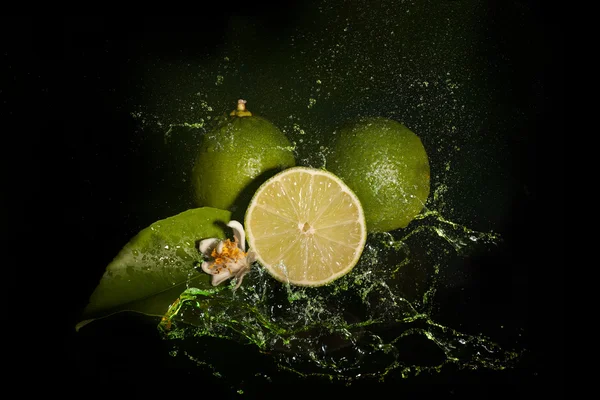 Taze Limes Splash — Stok fotoğraf