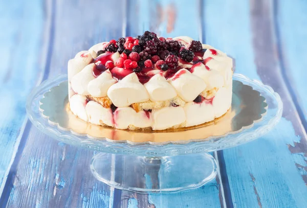 Gâteau Tiramisu aux fruits mous — Photo