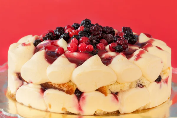 Red Berries Tiramisu Cake — Stock Photo, Image