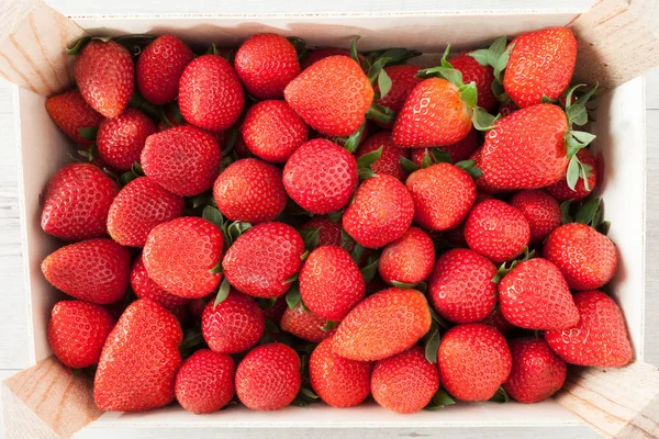 Fresh Strawberries Crop — Stock Photo, Image