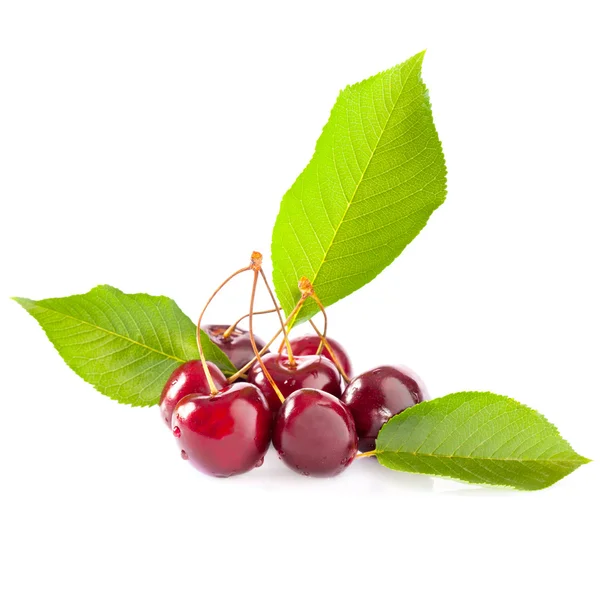 Ripe Red Cherries — Stock Photo, Image