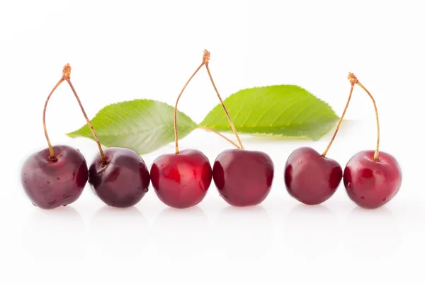 Cerejas maduras em fileira — Fotografia de Stock